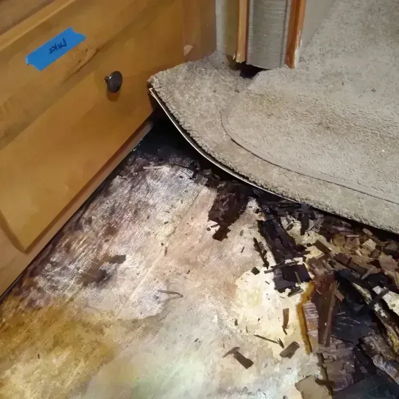 Best Wood Floor Water Damage Service in Stillman Valley, IL